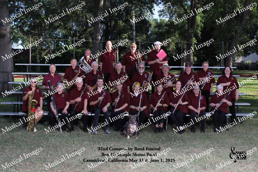 Musical Images